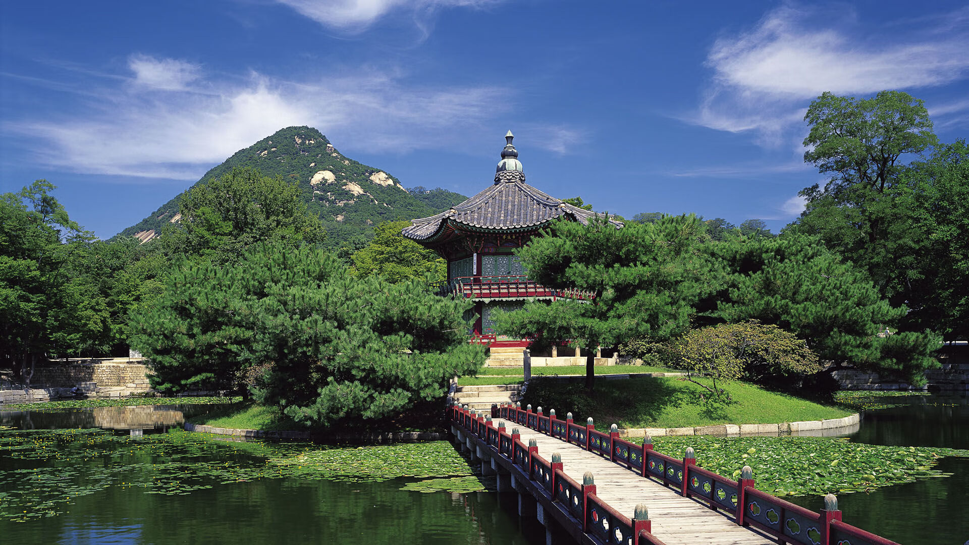 从戴维斯杯滑铁卢到美网加冕,德约科维奇如何以唯一性逆袭刷新历史