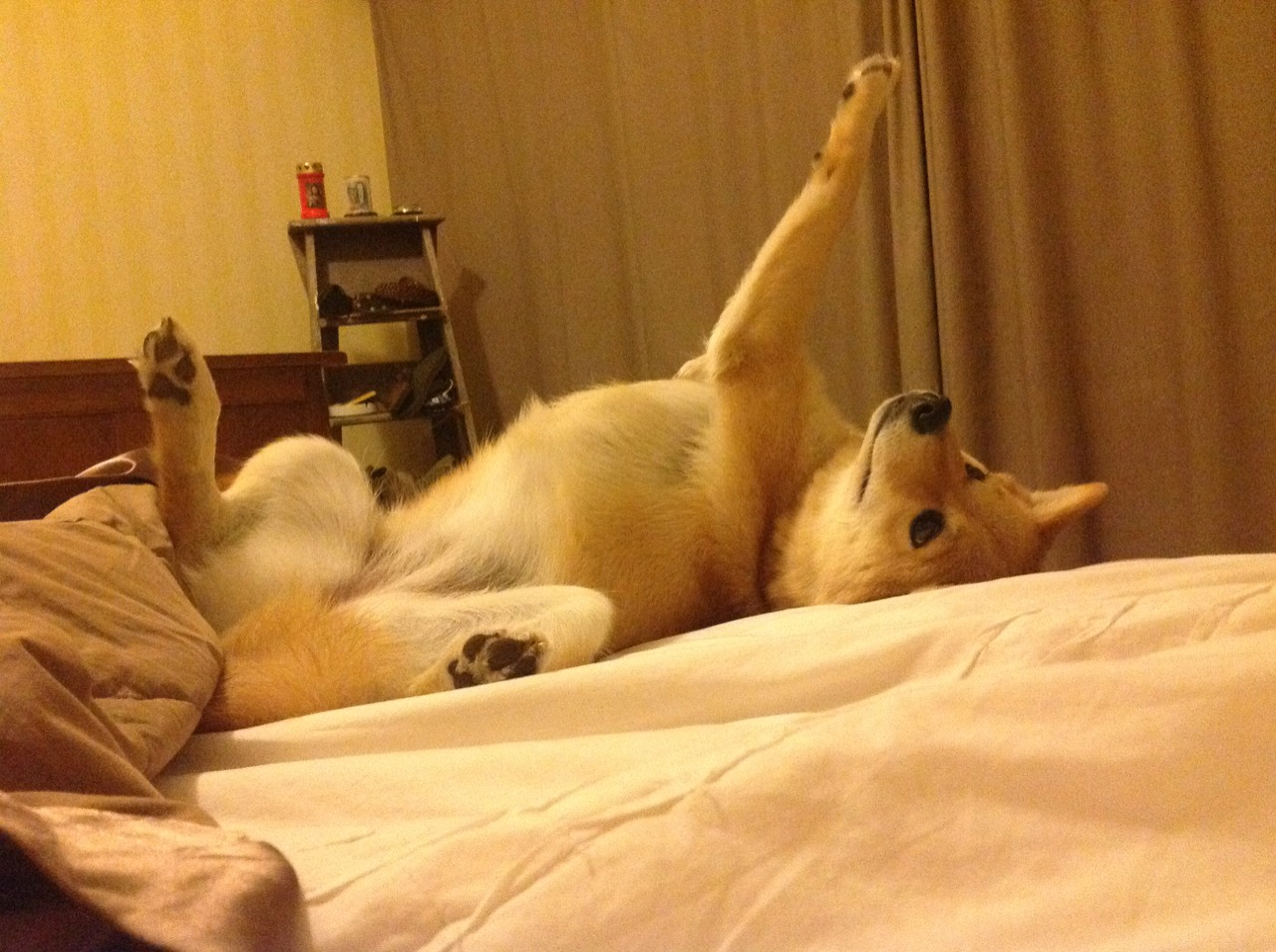 独臂擎天!王皓惊天逆转率波兰绝境翻盘瑞典