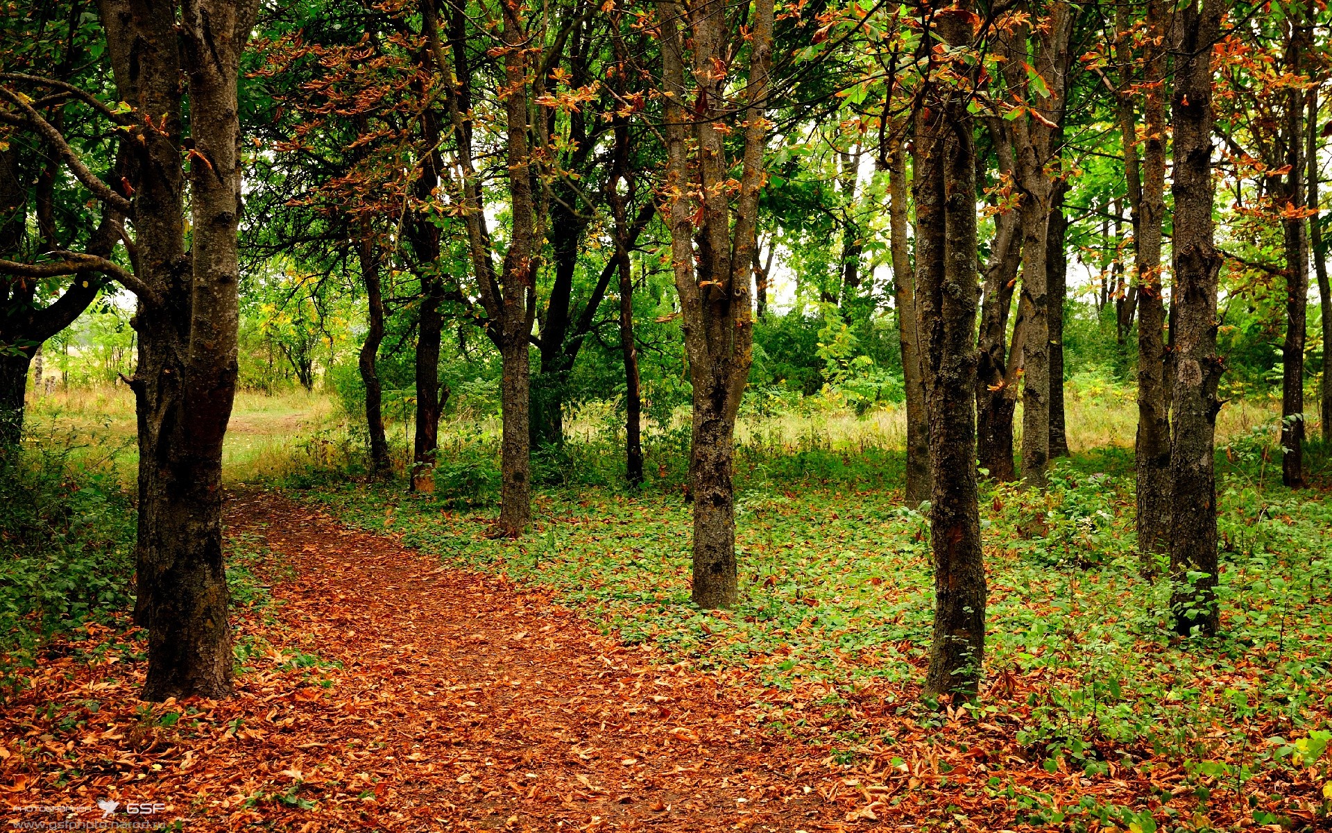 巴黎夜战见证新王当立，福登权杖下的世代更迭