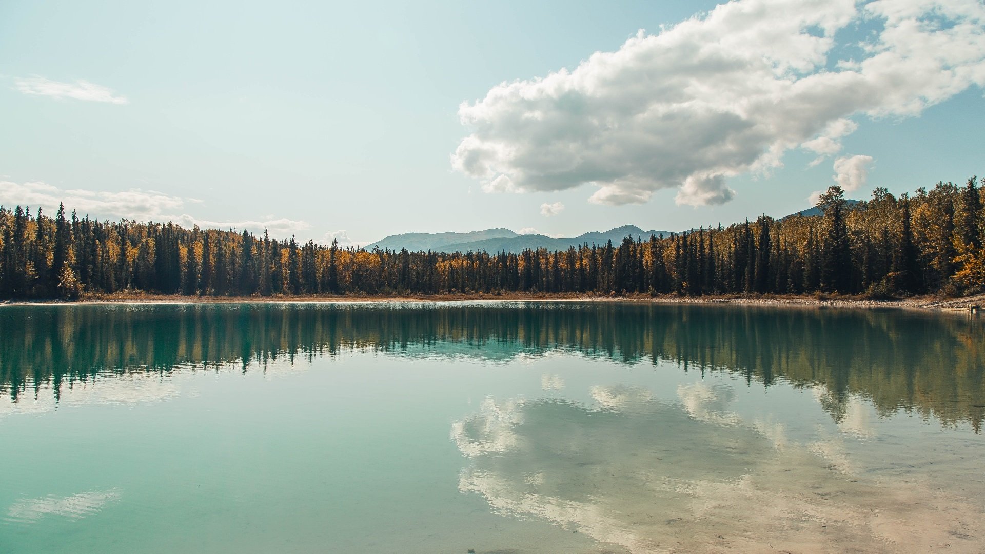 关键先生导演史诗胜利！威尔士全面压制芬兰，阿克闪耀全场