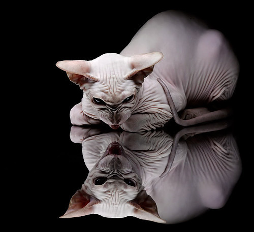 奥纳纳百场荣耀铸就传奇,挪威青春风暴席卷牙买加