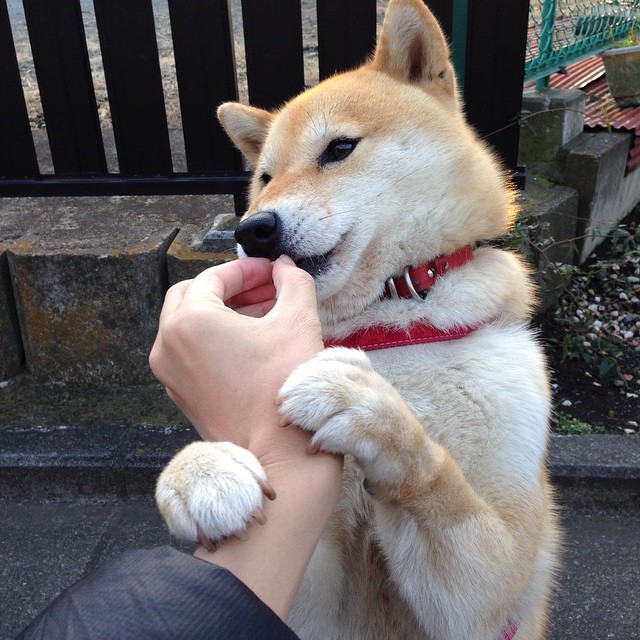 36小时轮回,从西班牙国家德比到费城东方风暴