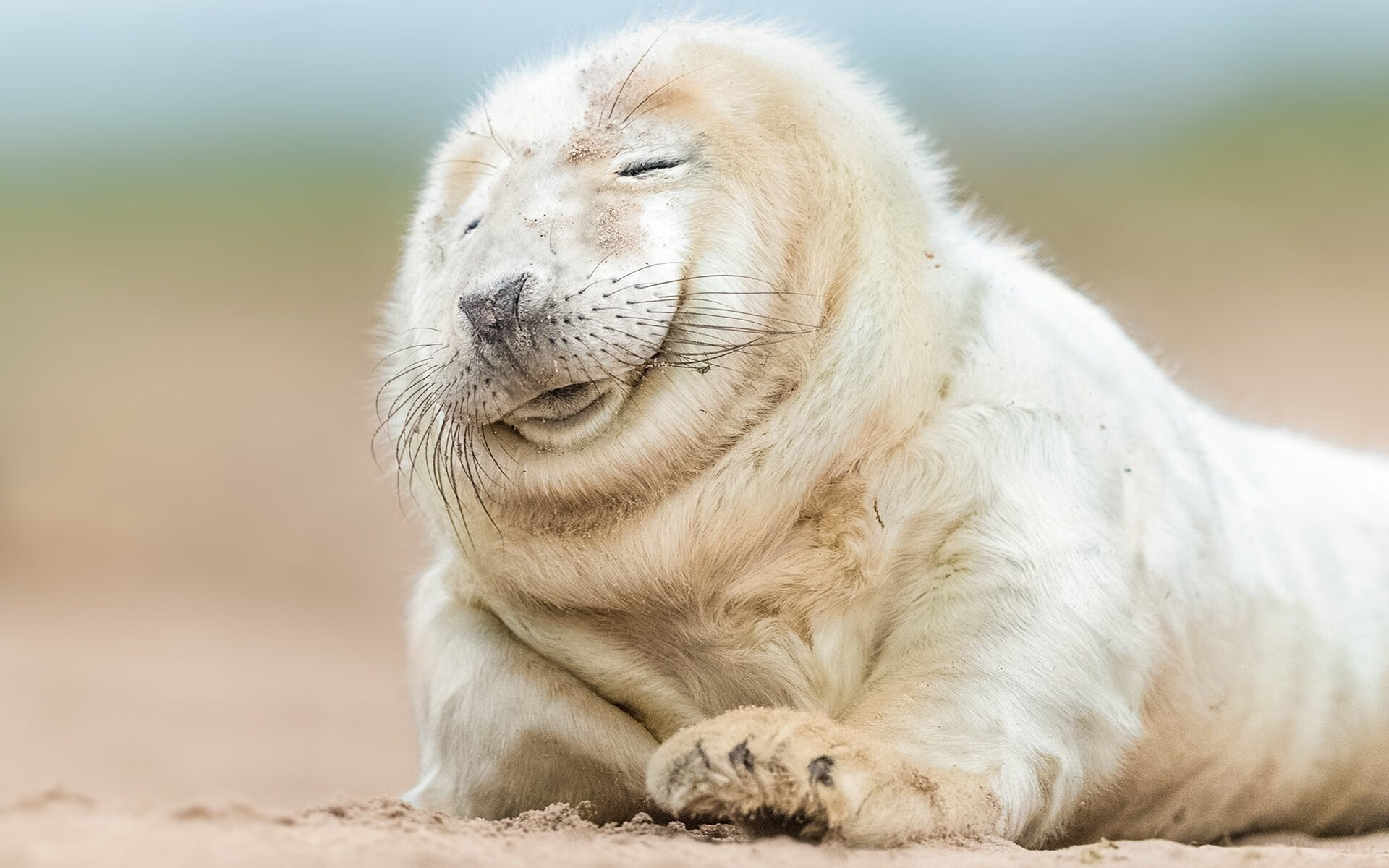 浓眉擎天柱,国王碾碎绿军铁壁—记一场定义赛季的颠覆之战