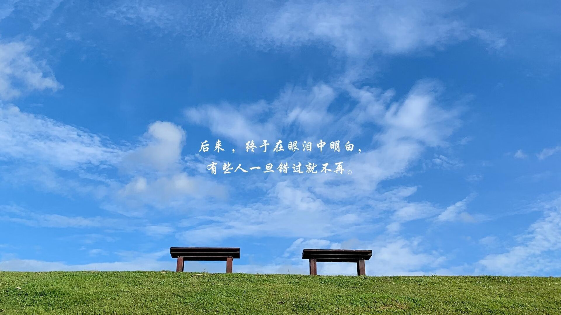 终局智慧,国米如何用意大利式链条绞杀荷兰风暴