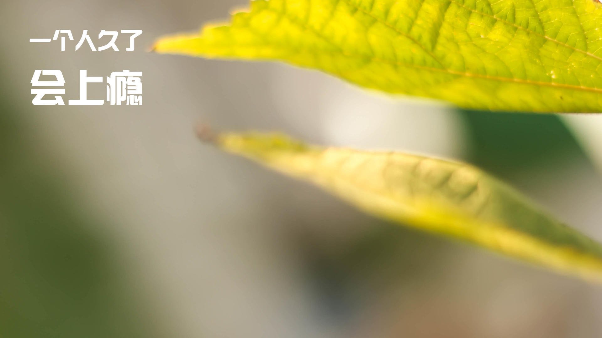 刺破夜色，当马刺精神一波带走深圳，欧文成为关键先生