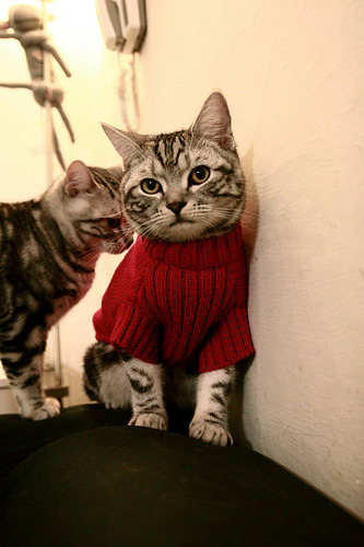 跨界绝杀,韩国球星金玟哉如何在NBA总决赛改写历史