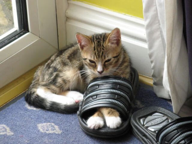 英超争冠之夜，如何被一个叫佩德里的男人重新定义？