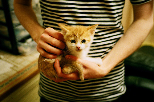 莱奥，从迷雾到曙光，一颗超新星的诞生记