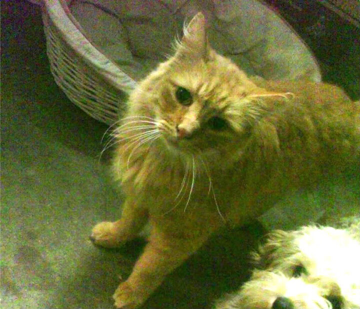 从蔚蓝海岸到爱琴海之泪，一场友谊赛如何让C罗完成终极救赎