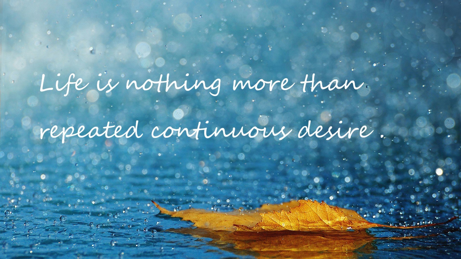 两片赛场，同一心跳，当欧冠决赛夜雄鹿队奇迹上演