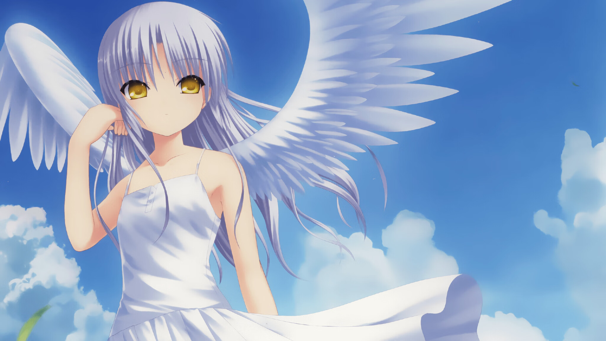 锁链与自由意志的博弈，巴雷拉如何将阿尔及利亚的利刃炼成一座孤岛