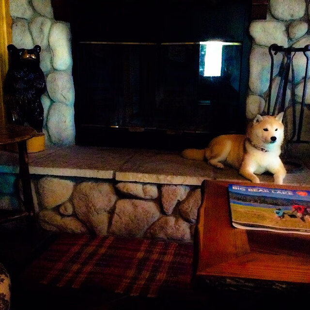 亚洲奇迹，韩国加时绝杀墨西哥，卡马文加孤胆复仇