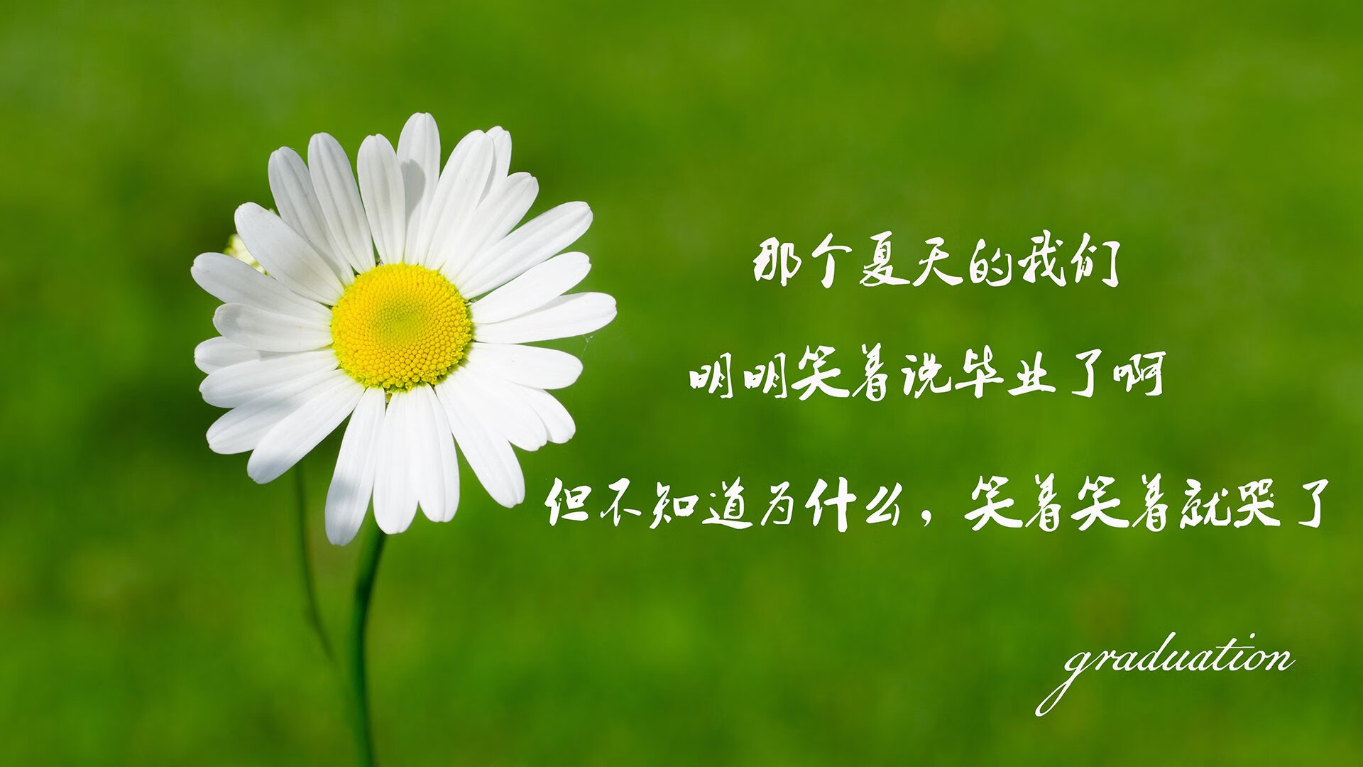 黄袍与星月交辉，2026世界杯E组死亡之组，加纳铁骑踏平泰国，格列兹曼以一人之力定义唯一