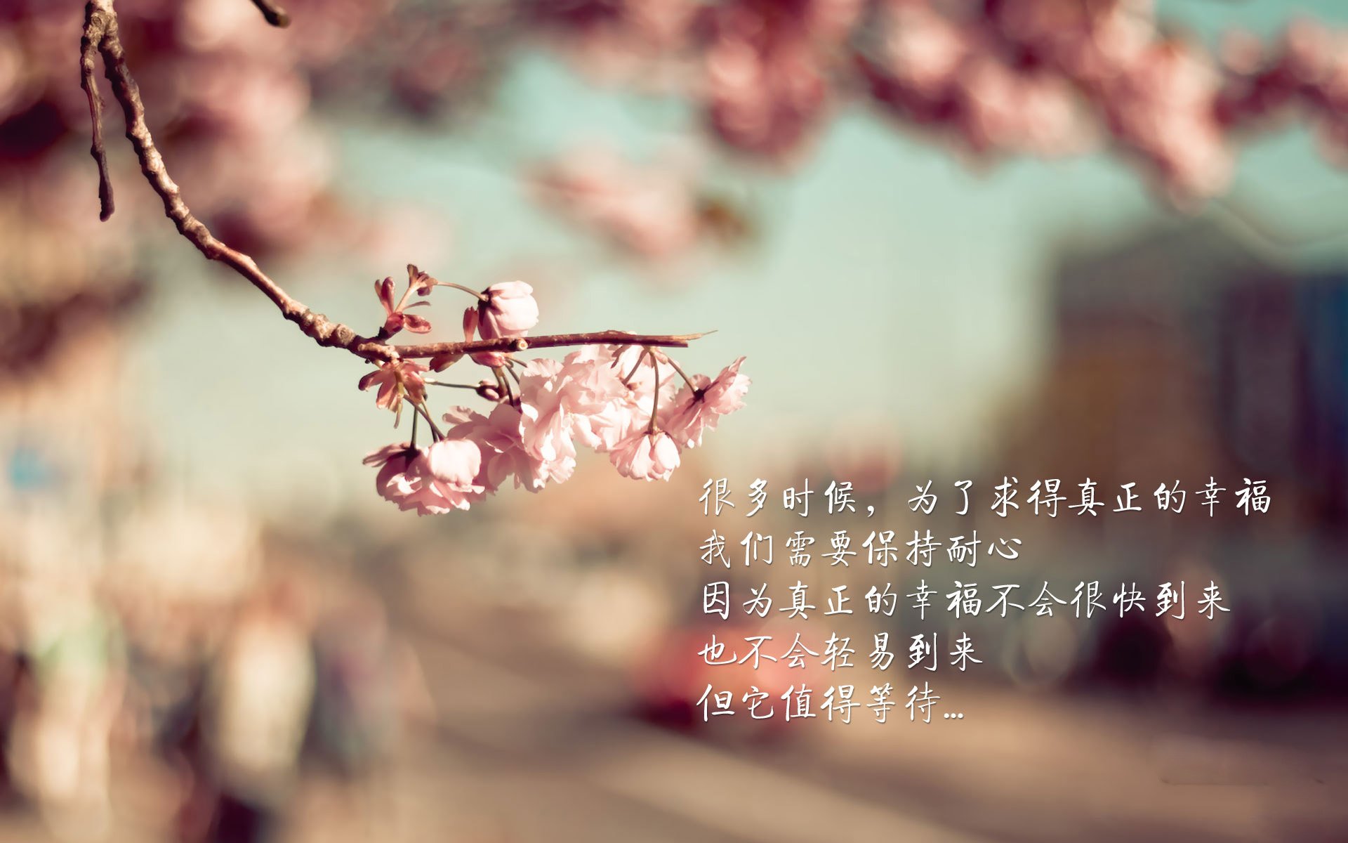 中亚铁骑踏碎巴尔干之盾,乌兹别克斯坦如何用非典型足球颠覆世界杯争冠格局
